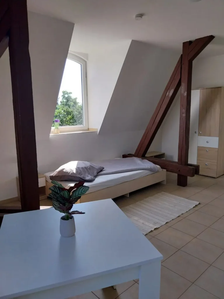 studentenapartments-wg-zimmer-freiberg-sachsen-chemnitzerstraße-44- (3)